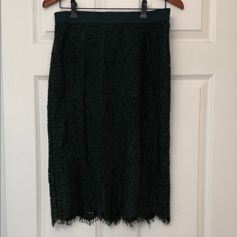 Ann Taylor Lace Pencil Skirt